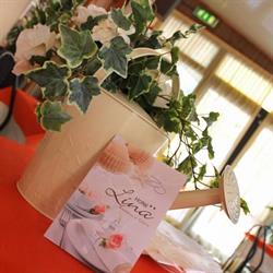Hotel Lina, Pinarella orari di apertura