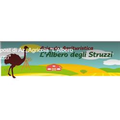 L' Albero degli Struzzi, Penna in Teverina orari di apertura