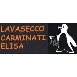 Lavasecco Carminati Elisa, Romano di Lombardia orari di apertura