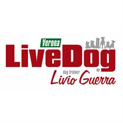 Centro Cinofilo Citta' di Verona/Livedog, orari di apertura