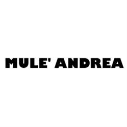 Mule' Andrea, Bergamo orari di apertura