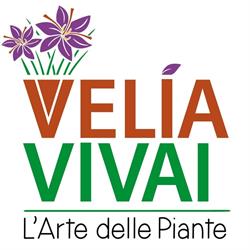 Velia Vivai, Agropoli orari di apertura