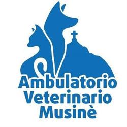 Ambulatorio Veterinario Musinè, Almese orari di apertura