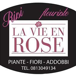 La Vie En Rose, Camposano orari di apertura