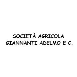 Societa' Agricola Giannanti, Ponsacco orari di apertura