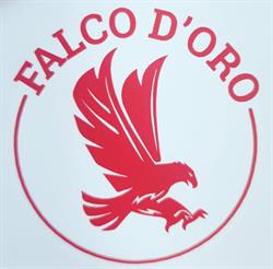Falco D'Oro, Lido di Ostia orari di apertura