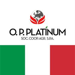 O.P. Platinum, Ragusa orari di apertura