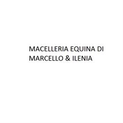 Macelleria Equina Marcello e Ilenia, Collecchio orari di apertura