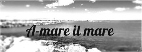 A-mare il mare Rimini, Marina Centro - Orari di apertura