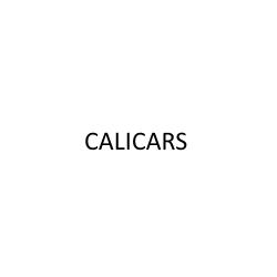 Calicars, Cento orari di apertura