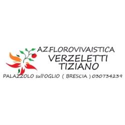 Azienda Florovivaistica Verzeletti Tiziano, Palazzolo sull'Oglio orari di apertura