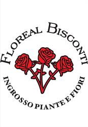 Floreal Bisconti, Palermo orari di apertura