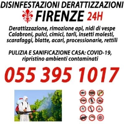 Disinfestazioni Derattizzazioni Firenze, orari di apertura