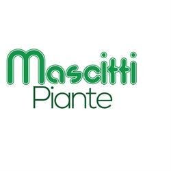 Mascitti Piante, Latina orari di apertura