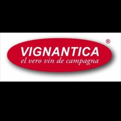 VIGNANTICA GROUP, Tombolo orari di apertura