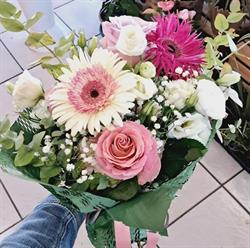 Flowers Shop, Boretto orari di apertura