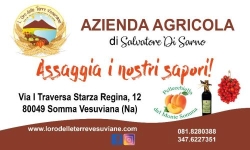 Aziena Agricola L'Oro delle Terre Vesuviane, Somma Vesuviana orari di apertura