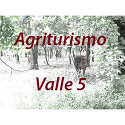 Agriturismo VALLE 5, Guastalla orari di apertura