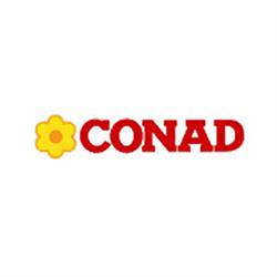 Supermercato Conad - Superborgo, Fontanellato orari di apertura