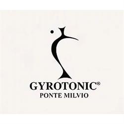 Gyrotonic ® Ponte Milvio, Roma orari di apertura