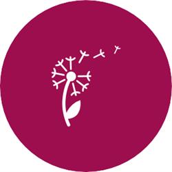 LOVETANN TRAVEL, Roma orari di apertura