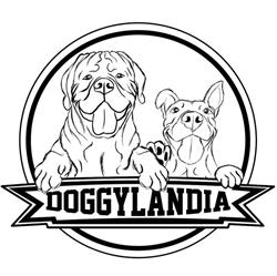 Doggylandia Asilo per cani-Centro cinofilo Val della Torre Torino, orari di apertura