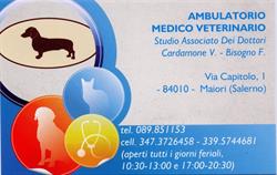 Ambulatorio Medico Veterinario Cardamone V. - Bisogno F., Maiori orari di apertura