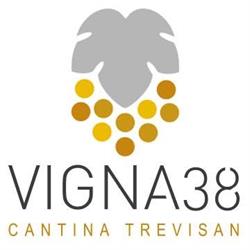 Vigna38 - Cantina Trevisan, Cinto Euganeo orari di apertura