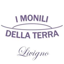 Gioielleria I Monili della Terra, Livigno orari di apertura