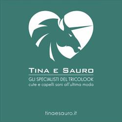 Tina e Sauro, Porto San Giorgio orari di apertura