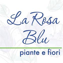La Rosa Blu - Piante e Fiori, Frosinone orari di apertura
