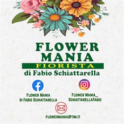Flower Mania di Fabio Schiattarella, Napoli orari di apertura