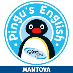 Pingu's English Mantova, orari di apertura