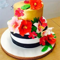 CAKE Designer Alice E LO Stregatto Cesena, orari di apertura
