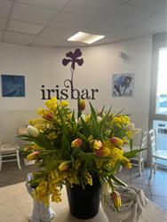 IRIS BAR, Spinea orari di apertura