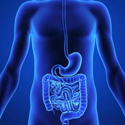 Dott.ssa Barbara Bindi Studio specialistico di gastroenterologia ed endoscopia digestiva, Sassari orari di apertura