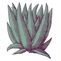 AGAVE eventsolution, Guastalla orari di apertura