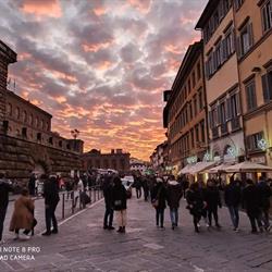 Edicola Donati di Piazza Pitti, Firenze orari di apertura