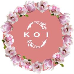 Sushi Ristorante KOI, Roma orari di apertura
