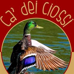 Ca' dei Ciossi, Concordia Sagittaria orari di apertura