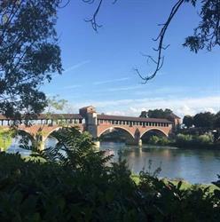 CAF FAPI Pavia e tutta Lombardia, orari di apertura
