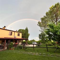 Il gelso nero, Ancona orari di apertura