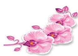 Iris Estetica SPA, Barletta orari di apertura