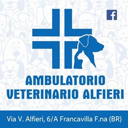 Ambulatorio Veterinario Alfieri, Francavilla Fontana orari di apertura
