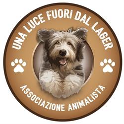 Una Luce Fuori dal Lager Associazione onlus, Uboldo orari di apertura