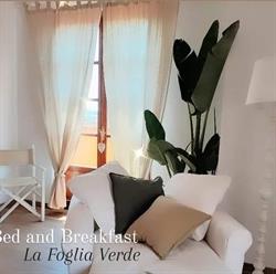 B&B La Foglia Verde, Massa orari di apertura