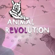 Articoli e Servizi per Cani e Gatti - Animal Revolution, Castellammare di Stabia orari di apertura