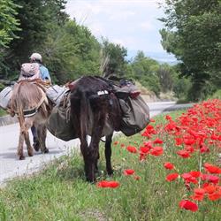 Montagne di legami, Cascina orari di apertura