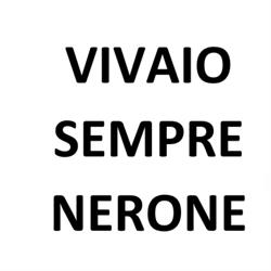 Vivaio Sempre Nerone, Ardea orari di apertura