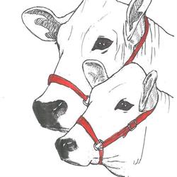 La Chianina Spaccio Carni, Stanghella orari di apertura